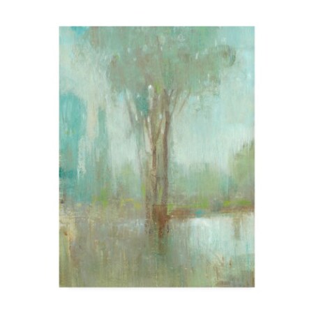 Trademark Fine Art Tim OToole 'Mist in the Glen I' Canvas Art, 18x24 WAG15804-C1824GG